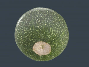 zucchini moon 3D Model