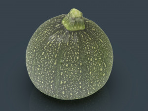 zucchini moon 3D Модель