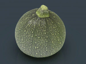 zucchini moon 3D Model
