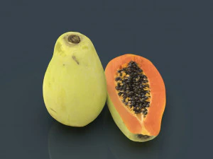 papaye Modèle 3D