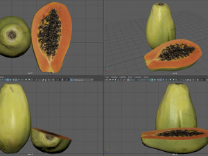papaya 3D-Modell