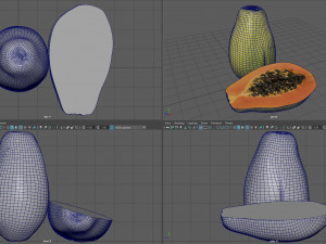 papaya 3D-Modell