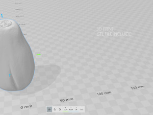 papaya 3D-Modell