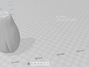 papaya 3D Model