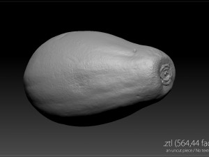 papaya 3D-Modell