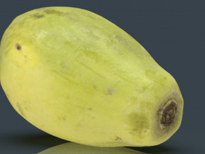 papaya 3D-Modell