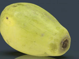 papaya 3D Model