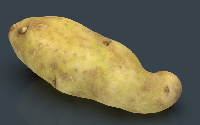 red potatoe Modelo 3D .c4d .max .obj .3ds .fbx .stl .blend 