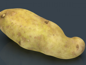 red potatoe 3D Model