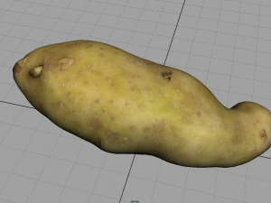 patata rossa Modello 3D