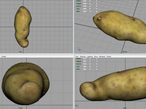 red potatoe Modelo 3D