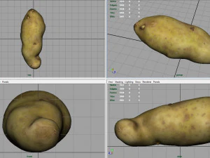 patata rossa Modello 3D