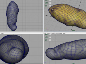 red potatoe Modelo 3D