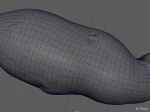 red potatoe Modelo 3D