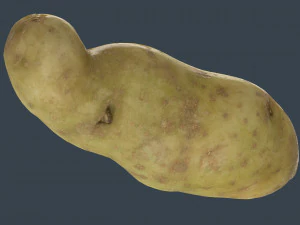 patata rossa Modello 3D