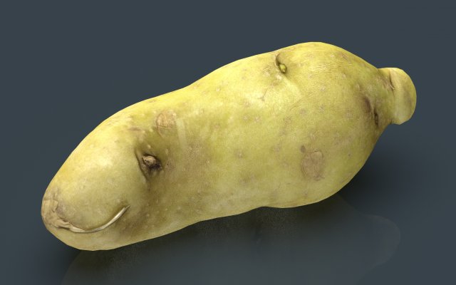 red potatoe 2 Modelo 3D .c4d .max .obj .3ds .fbx .stl .blend 