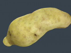 red potatoe 2 Modelo 3D