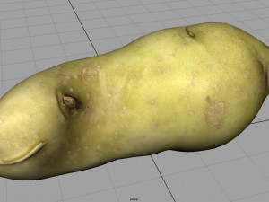 red potatoe 2 Modelo 3D