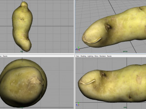red potatoe 2 Modelo 3D