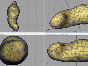red potatoe 2 Modelo 3D