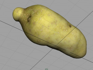 red potatoe 2 Modelo 3D