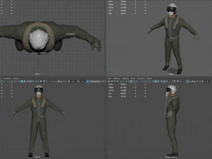 pilot 3D Model