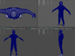 pilot Modelo 3D