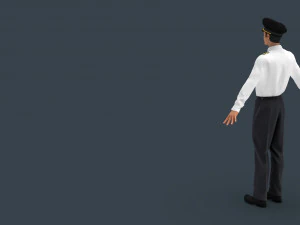 airline captain 3D Model