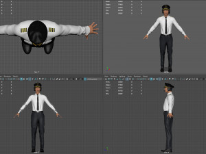 airline captain 3D मॉडल