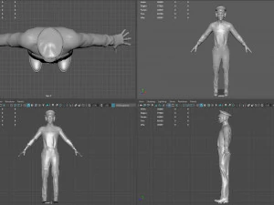 airline captain 3D Model