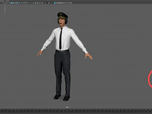 airline captain 3D Model