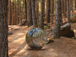 hdr forest path 1 CG Текстуры