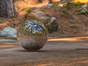 hdr forest path 1 CG Текстуры