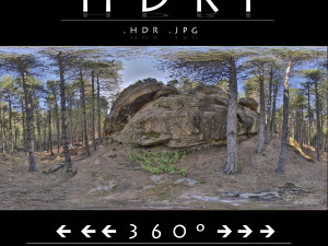 hdr forest rock 1 CG Textures
