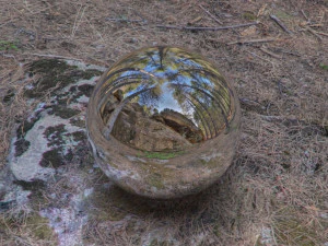 hdr forest rock 1 CG Textures