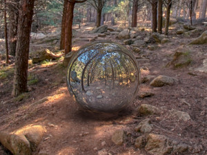 hdr forest path 2 Texturas CG
