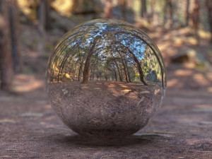 hdr forest path 2 Texturas CG