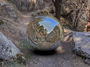 hdr forest path 3 CG 텍스쳐