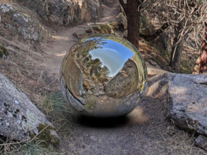 sentiero nel bosco hdr 3 CG Textures