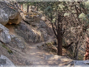 sentiero nel bosco hdr 3 CG Textures