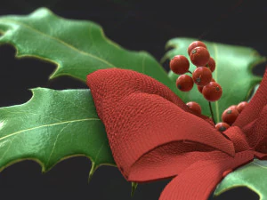 christmas holly 3D Model