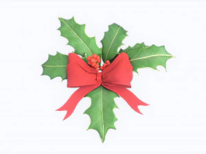 christmas holly 3D Model