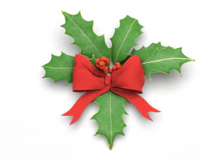 christmas holly 3D Model