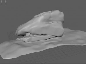 rock 37 3D Model