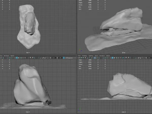 rock 37 3D Model