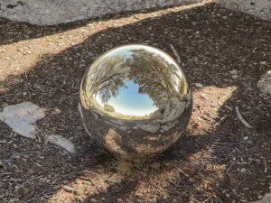 hdr trees in field CG Textures