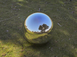 hdr shadow tree CG Textures