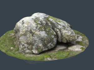 rock 38 3D Model