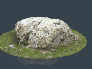 rock 38 3D Model