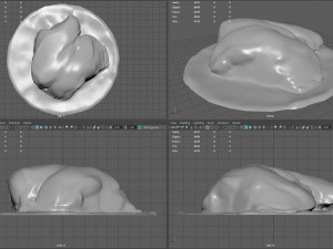 rock 38 3D Model